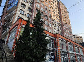
                         c. Dushanbe, I. Somoni                                            