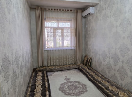 
                         г. Душанбе, Сино                                            